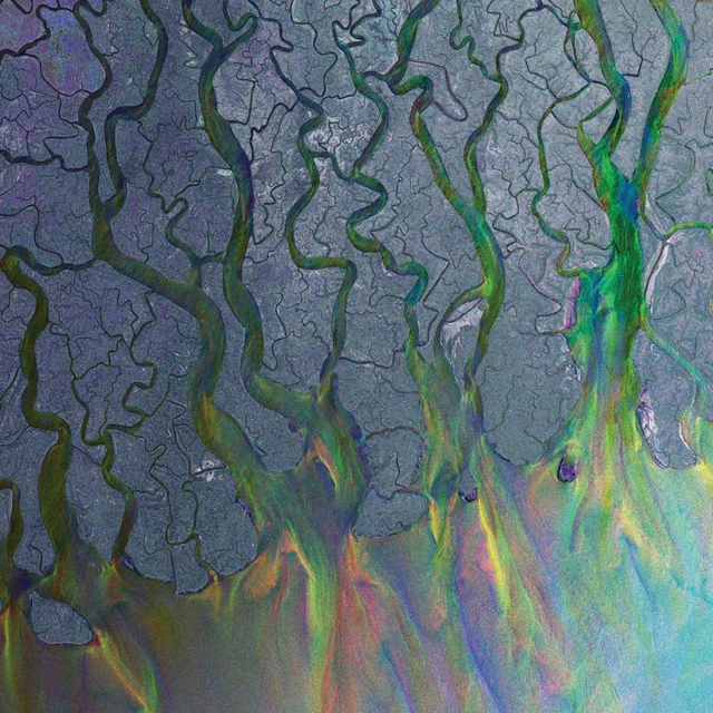 Alt-J An Awesome Wave (LP) 