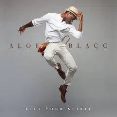Aloe Blacc Lift Your Spirit (2LP)