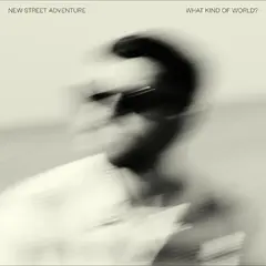 New Street Adventure What Kind Of World? (LP)
