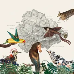 Friendly Rich The Birds Of Marsville (LP)