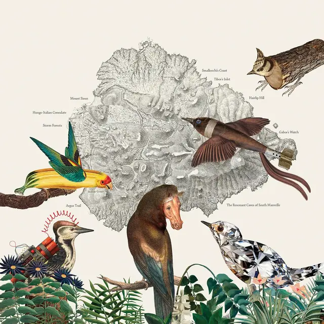 Friendly Rich The Birds Of Marsville (LP) 