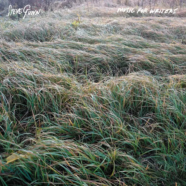 Steve Gunn Music For Writers - LTD (LP) 