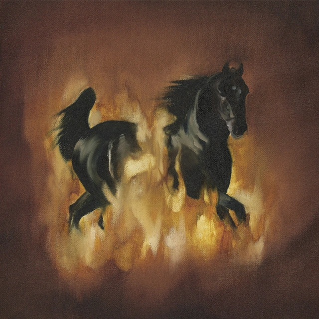 Besnard Lakes Are the Dark Horse (LP) 