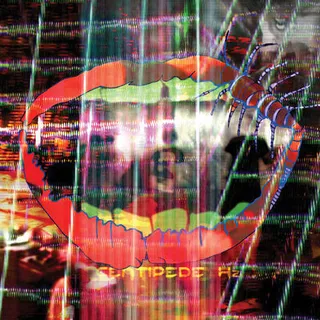 Animal Collective Centipede HZ (2LP)