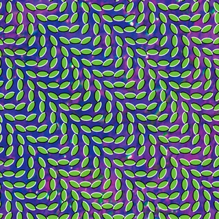 Animal Collective Merriweather Post Pavillion (2LP)