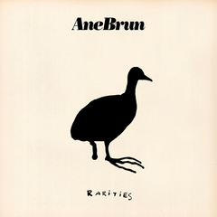 Ane Brun Rarities (2LP)