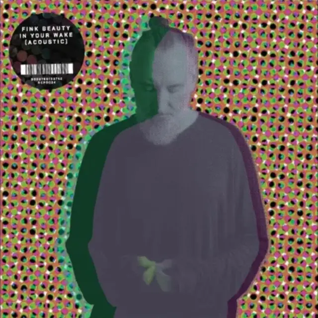 Fink Beauty In Your Wake Acoustic (LP) 