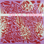 Yo La Tengo I Am Not Afraid Of You And I Will… (2LP)
