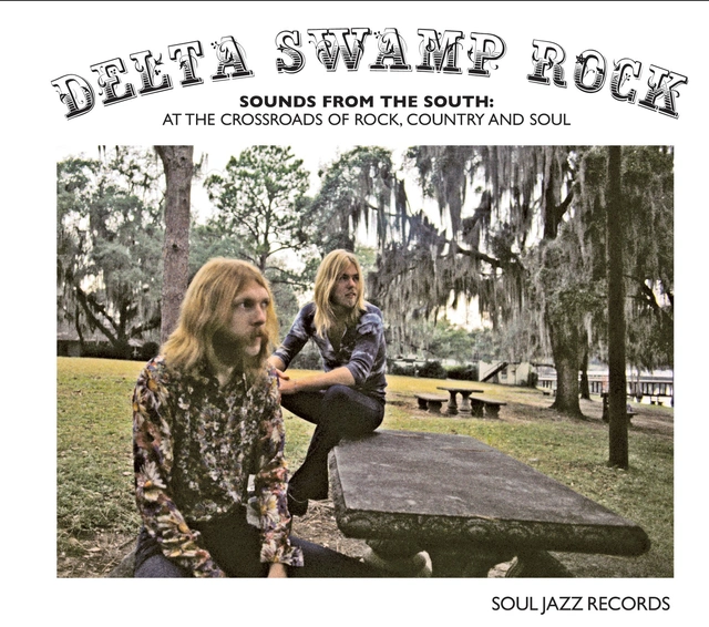 Diverse Artister Delta Swamp Rock (LP1) (2LP) 
