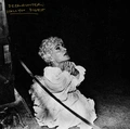 Deerhunter Halcyon Digest (LP)