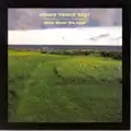 Bonnie 'Prince' Billy Ease Down The Road (LP)