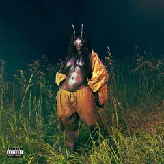 SZA SOS Deluxe: LANA (2MC)