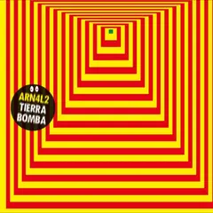 ARN4L2 Tierra Bomba (12")