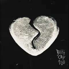 The Haunted Youth Boys Cry Too (LP)