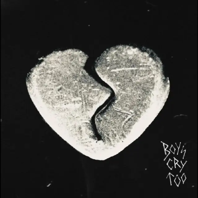 The Haunted Youth Boys Cry Too (LP) 