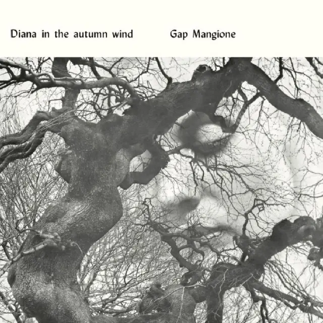 Gap Mangione Diana In The Autumn Wind (LP) 