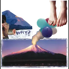 Why? Elephant Eyelash: 20th Anniversary… (CD)