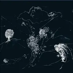 Anenon Dream Temperature (LP)