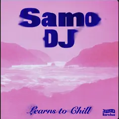 Samo DJ Learns To Chill (12")