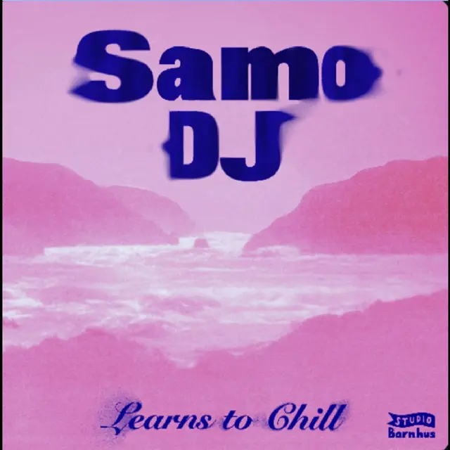 Samo DJ Learns To Chill (12") 