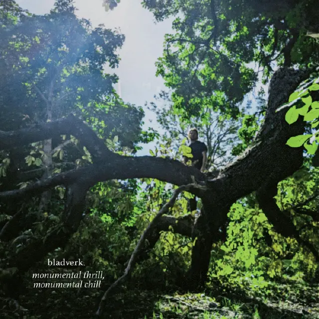 Bladverk Monumental Thrill, Monumental Chill (LP) 