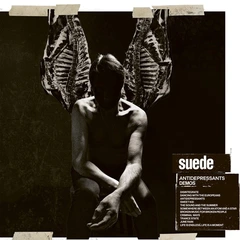 Suede Antidepressants - RSD (12")