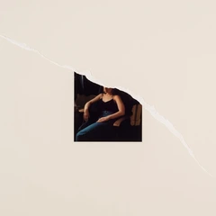 Catherine Anne Davies &amp; Bernard Butler In Memory Of My Feelings - LTD (2LP)
