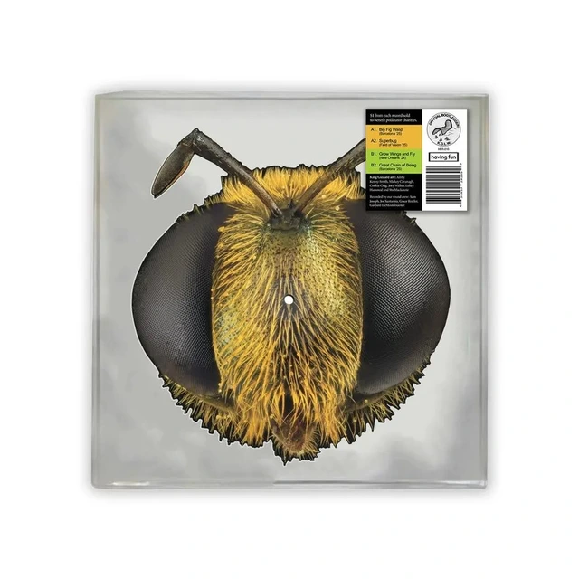King Gizzard & The Lizard Wizard Big Fig Wasp - RSD (LP) 