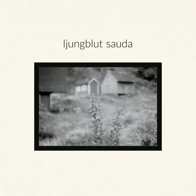 Ljungblut Sauda / Vietnam - LTD (LP) 