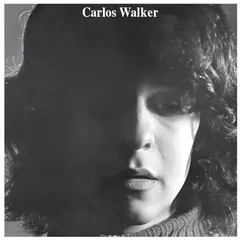 Carlos Walker A Frauta De Pa - LTD (LP)