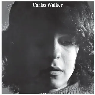 Carlos Walker A Frauta De Pa - LTD (LP)