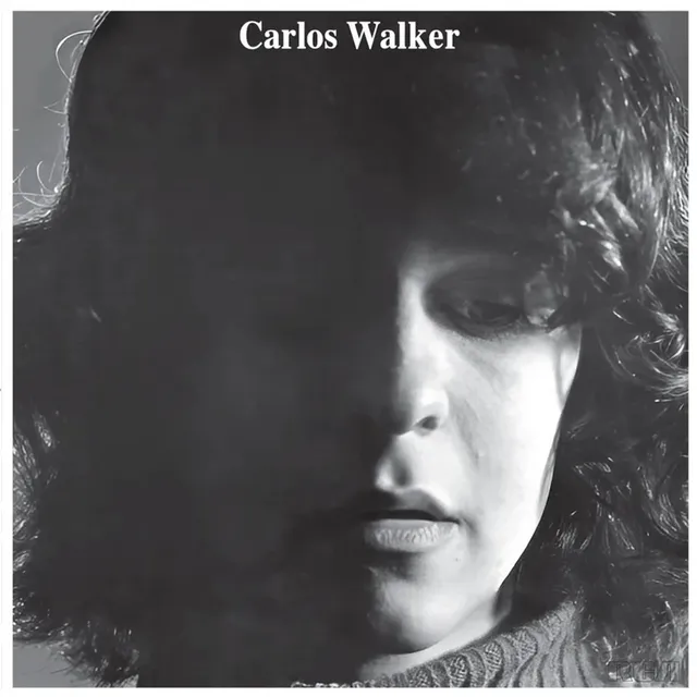 Carlos Walker A Frauta De Pa - LTD (LP) 