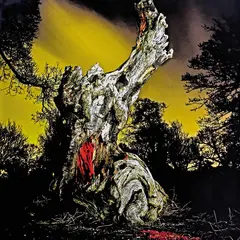 Real Farmer Two Wrongs Don't Make A Right (2LP)