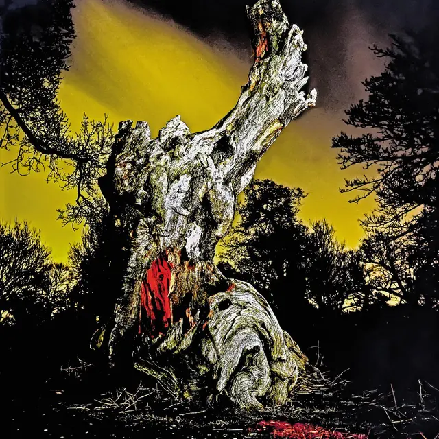 Real Farmer Two Wrongs Don't Make A Right (2LP) 