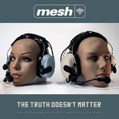 Mesh The Truth Doesn't Matter (CD)