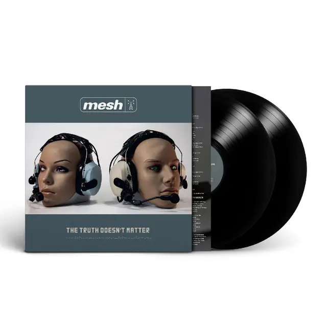 Mesh The Truth Doesn't Matter (2LP) 