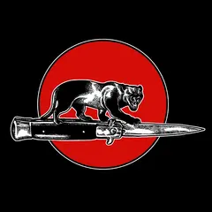 Jim Jones All Stars Cat Fight (CD)