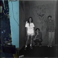 Harry Pussy You'll Never Play This Town Again (2LP)