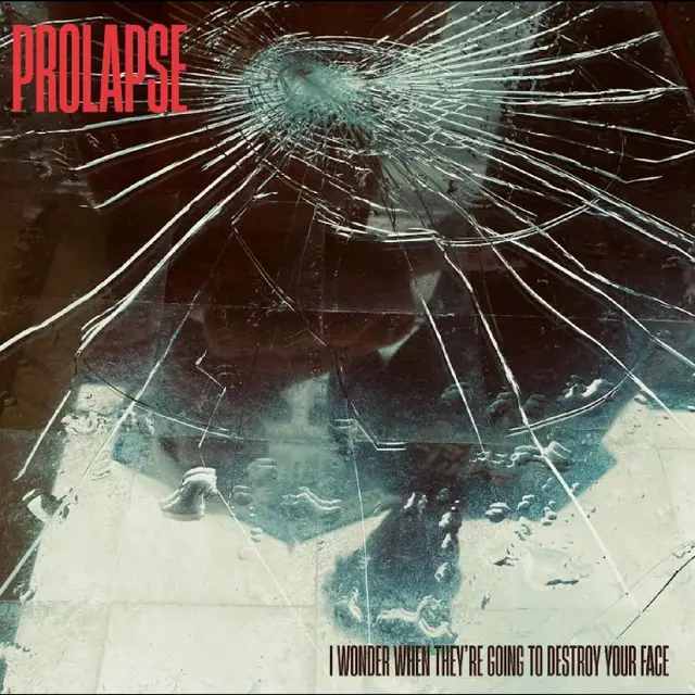 Prolapse I Wonder When They're Going To… (LP) 