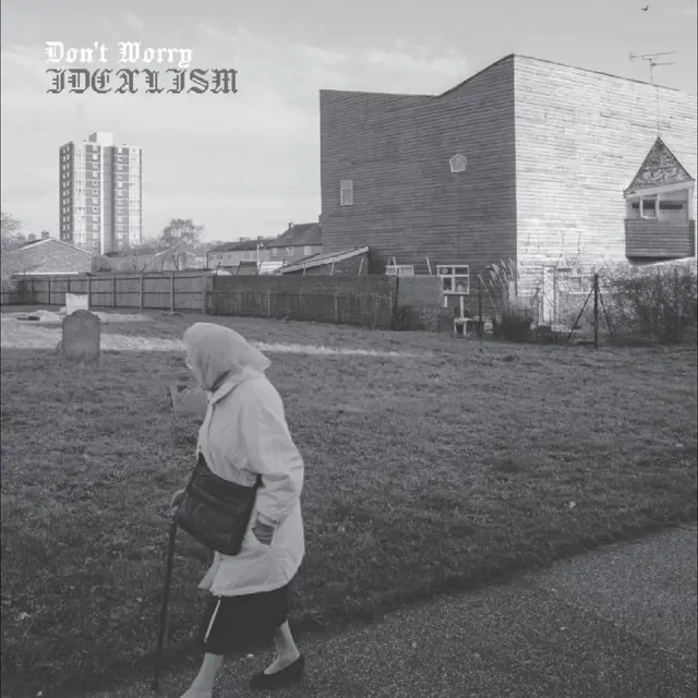 Don't Worry Idealism - LTD (LP) 