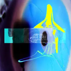 E L U C I D &amp; Sebb Bash I Guess U Had To Be There - LTD (LP)