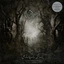 Opeth Blackwater Park: 25th… - LTD (2LP)