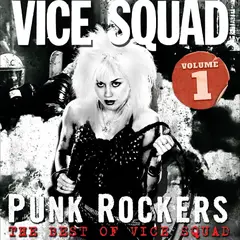 Vice Squad Punk Rockers: The Best Of… - LTD (LP)