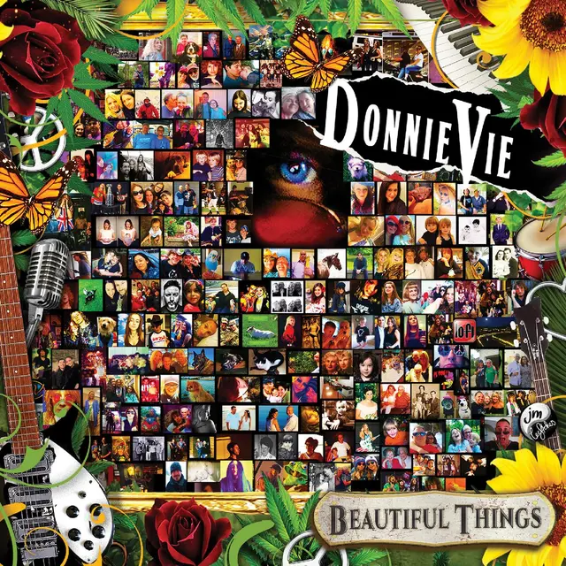 Donnie Vie Beautiful Things (LP) 