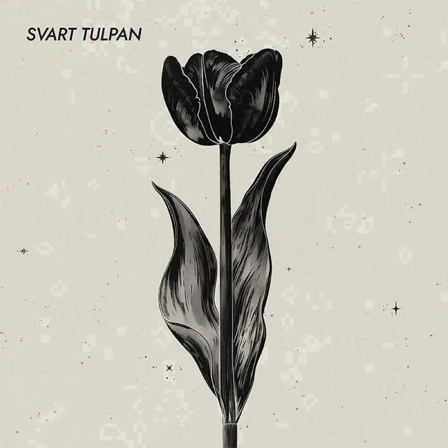 Svart Tulpan Svart Tulpan - Remix (2CD) 