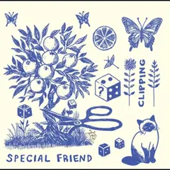 Special Friend Clipping (LP)