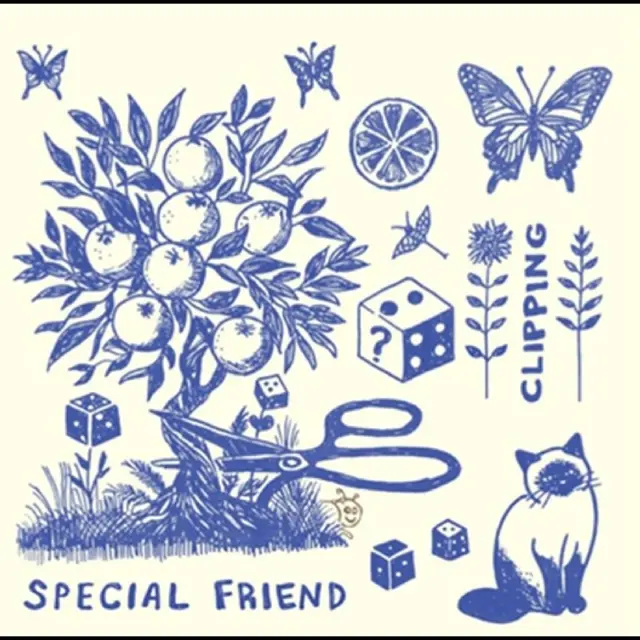 Special Friend Clipping (LP) 