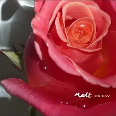 Ms Ray Melt (LP)
