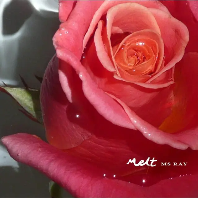 Ms Ray Melt (LP) 