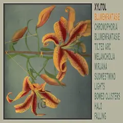 Xylitol Blumenfantasie (LP)